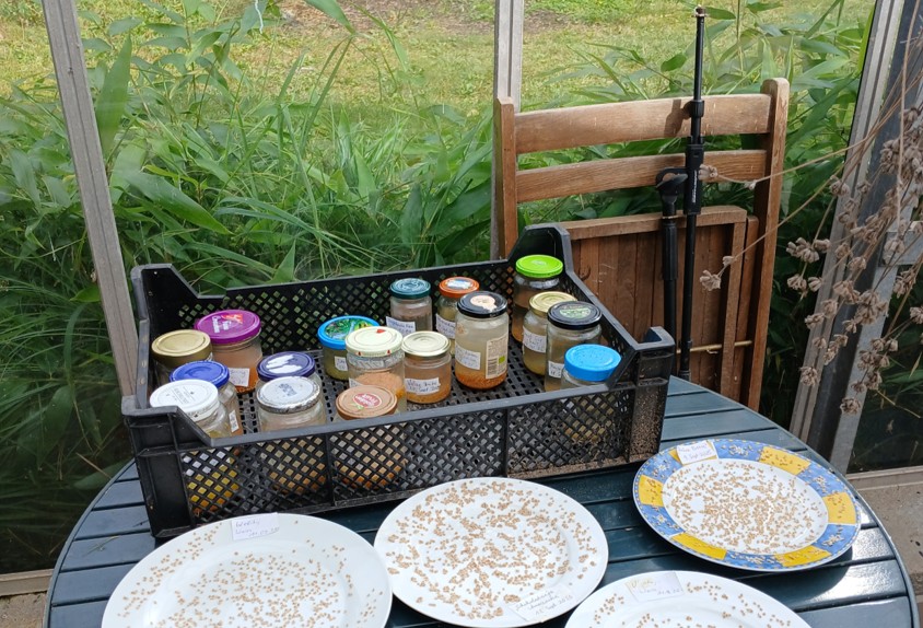 Saatgut Tomatenretter e.V.